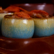 Regova Egg